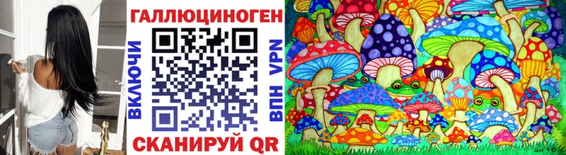 как найти   Ленинск  Галлюциногенные грибы мицелий 