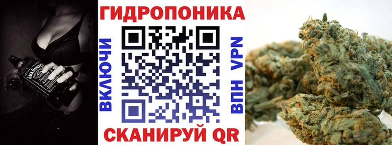 Марихуана сатива  Ленинск 